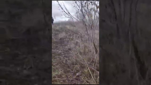 12 ноября 2023 г. смотреть онлайн