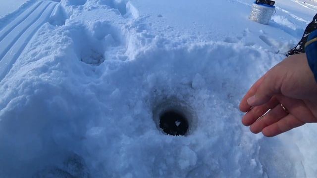 Щука на жерлицы после снегопада в деревне.Зимняя рыбалка 2022 Щука на живца.Часть вторая.. смотреть онлайн
