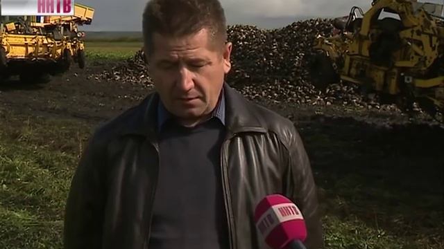 Уборка сахарной свеклы началась в Нижегородской области смотреть онлайн