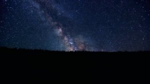 К чему снятся ТАРАКАНЫ или видеть во сне ТАРАКАНОВ | Толкование снов | Сонник Sk1.online