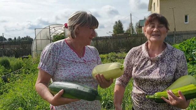 Переехали в Ярославль/Из города в деревню/Гости из Москвы смотреть онлайн