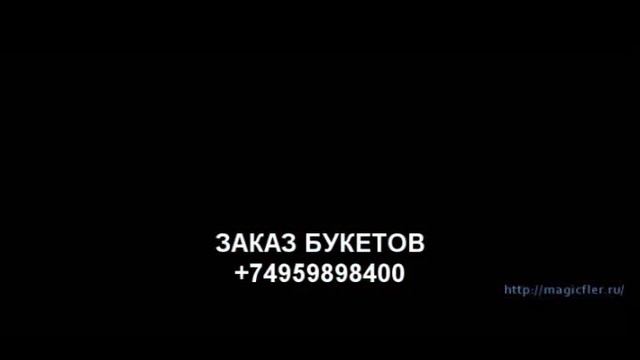 ГАЛАТЭЯ - флористический салон