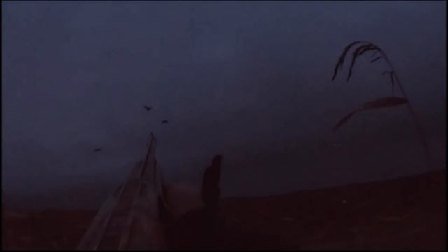 HOW TO SHOOT A GOOSE WITH ONE CARTRIDGE, AND A DUCK WITH THREE. смотреть онлайн