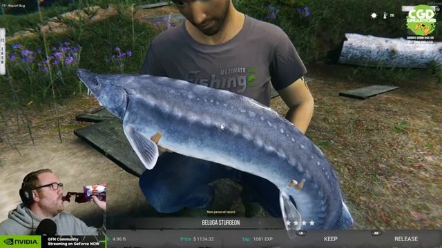 [UK] AFTER A BIG BELUGA | NVIDIA GFN 3080 RTX | !TWITTER !INSTA ! !GFN & PAM ! смотреть онлайн