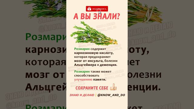 👉 Питание для здоровья: Розмарин ✔️☝🏻 Польза для организма человека 26.04.2023