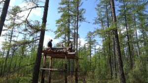 ЭВЕНКИЙСКИЙ ЛАБАЗ НА ДЕРЕВЬЯХ, постройка лабаза в тайге