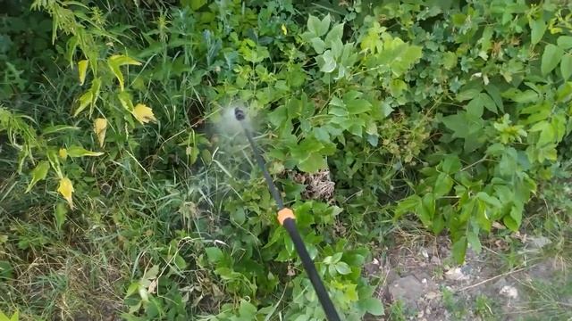 Средство от сорняков Торнадо (гербицид). Тестирование. смотреть онлайн