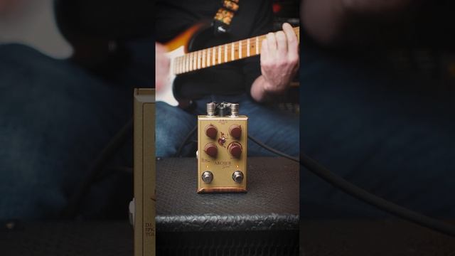 How to get the John Mayer Tone with the new J.Rockett Archer Select #shorts смотреть онлайн