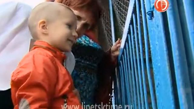 В День животновода липецкие буренки принаряди... смотреть онлайн
