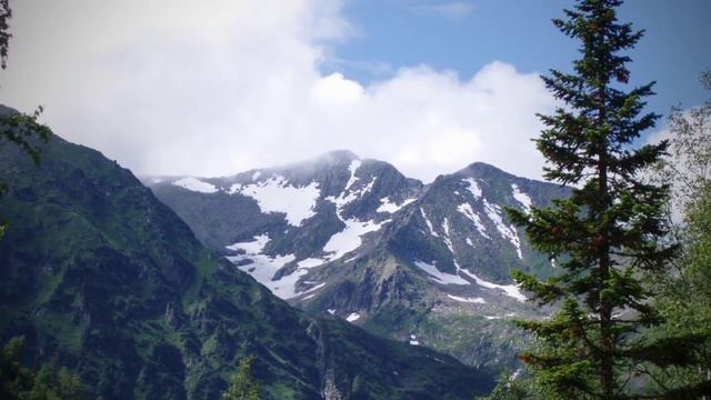 Поднебесные зубья смотреть онлайн