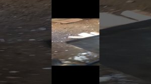 Дровокол ДВС 15 лс нш- 16