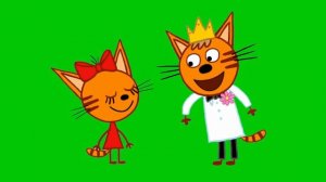 😺ФУТАЖ🐱2 КОТА И КОШЕЧКА(1)🐱