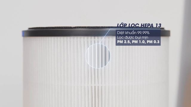 Máy lọc không khí Electrolux: hút khí 360 độ, lọc bụi mịn PM2.5 (FA31-202GY) • Điện máy XANH смотреть онлайн