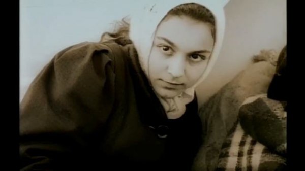 Скрипка лиса Скрип колеса