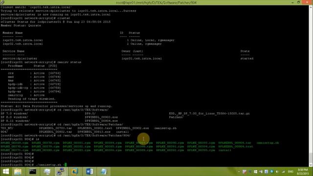 HPE Data Protector - Install cluster aware cell manager on CentOS Linux - Part 12 смотреть онлайн