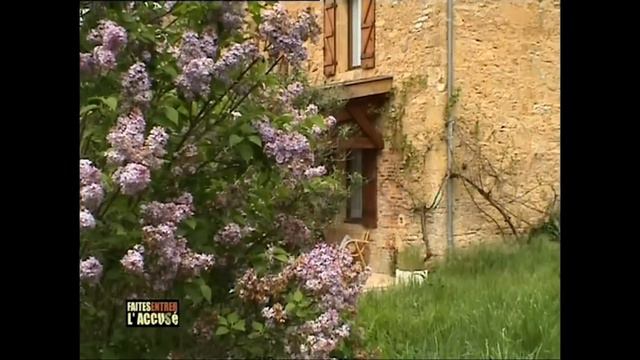 Faites Entrer L'accusé : Aldredo Stranieri, Le Voleur De Vies