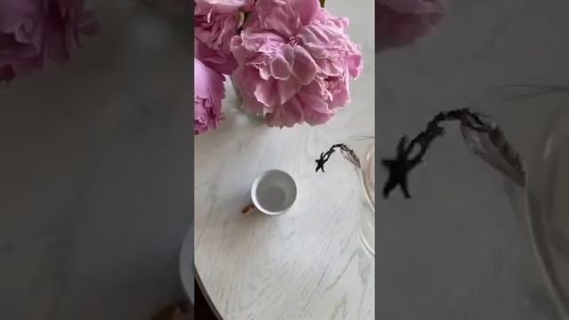 ПОЧЕМУ ТЕКУТ ГЛАЗА У ШПИЦА смотреть онлайн