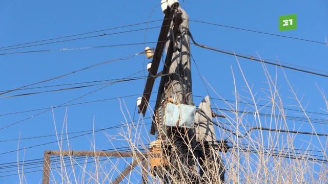 Запутались в проводах. Жители Першино требуют снести трухлявые столбы смотреть онлайн