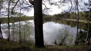 Рыбалка с берега. Рыбалка на щуку.  Ловля щуки на озере.  Спиннинг 2020.  Рыбалка 2020.