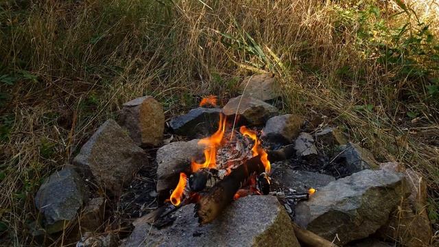 НАМЫЛ МНОГО ЗОЛОТА смотреть онлайн