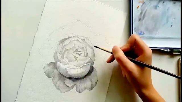 Белый цветок акварелью смотреть онлайн