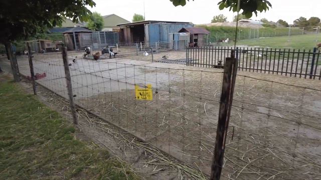 #hollanda #vlissingen şehrinin hafif dışında neler gördük? sürpriz içerir #vlog #vlogsvideo #vlogs смотреть онлайн