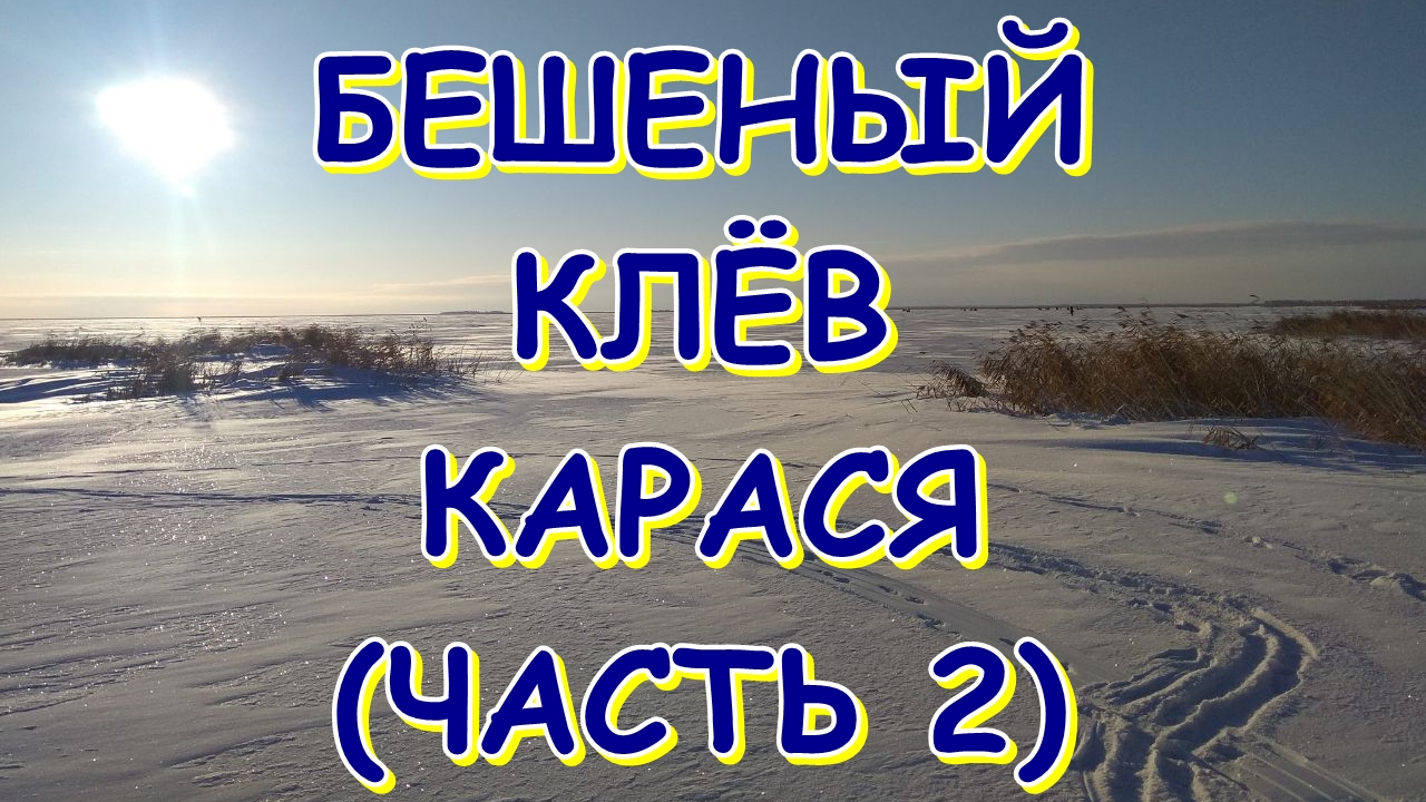 БЕШЕНЫЙ КЛЁВ карася как из пулемёта! Зимняя рыбалка со льда смотреть онлайн