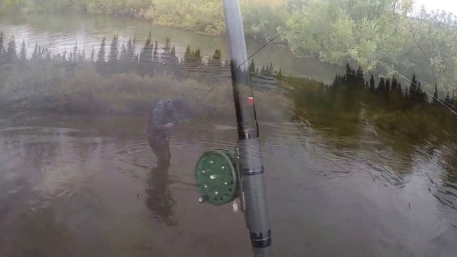 ловля хариуса начало сентября смотреть онлайн