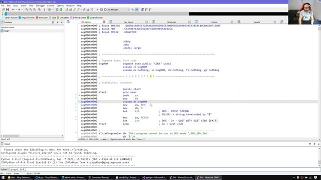 IDAPython: IDA bitness? Database bitness? IDA GUI or TUI? смотреть онлайн