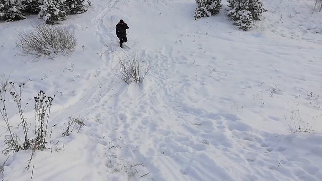 Фантасмагория 2: Закат - 