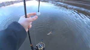 Крупный судак на воблеры. Рыбалка на Москва-реке.