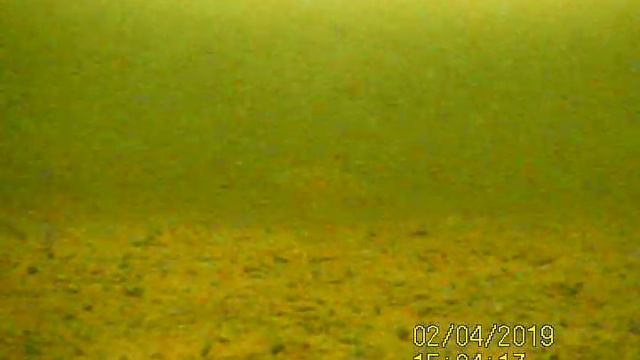 Окунь, подводная рыбалка и съёмки на камеру Calipso смотреть онлайн