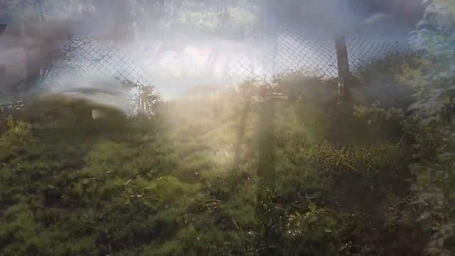 Автоматический полив