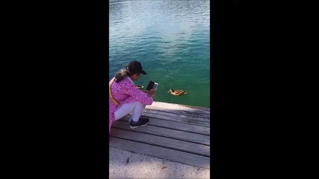 BLED--Beautiful travel Destination(bled castle,bled lake and island church) смотреть онлайн