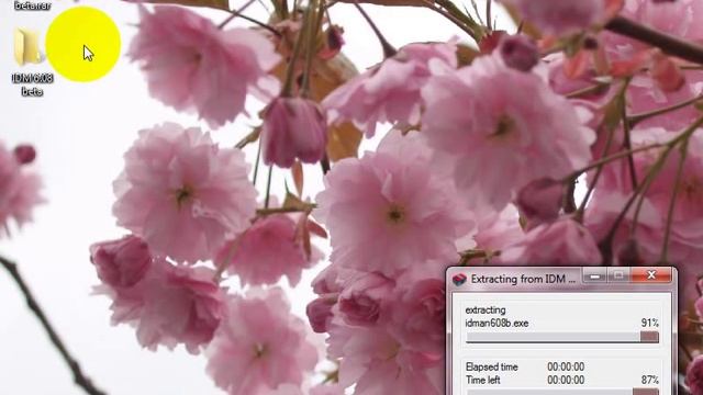 Download, Install and crack/patch IDM in Urdu tutorial смотреть онлайн
