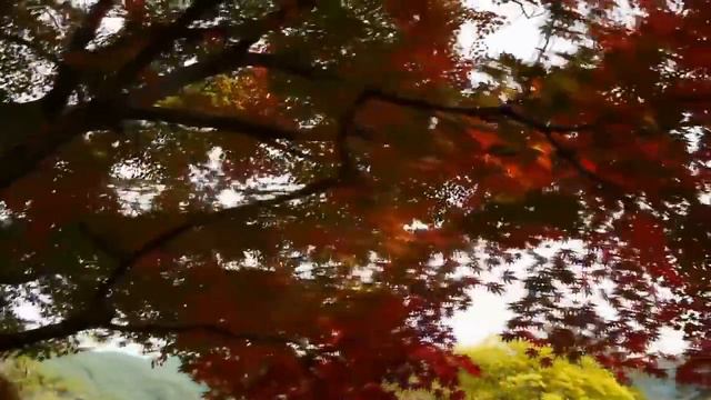 Самые Красивые Романтические мелодии/The Best Romantic Music For The Soul