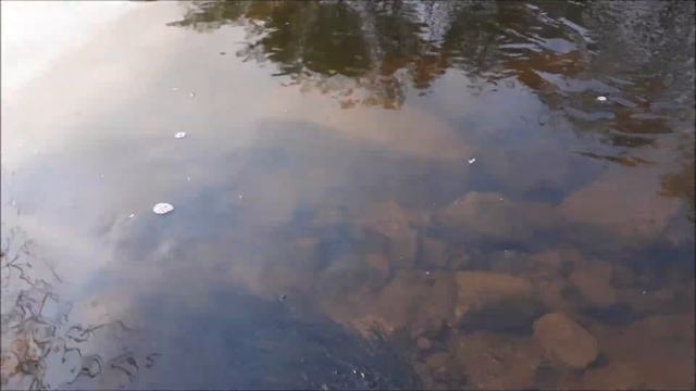 Красота Природы Дальнего Востока !!! смотреть онлайн