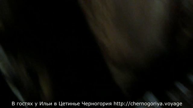 В гостях у Ильи в Цетинье смотреть онлайн