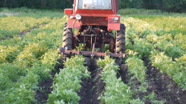 междурядная обработка картофеля смотреть онлайн