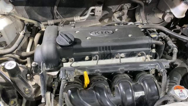 Почему задирает корейцев именно зимой!объяснения и факты!ну и интернетные мифы! Часть 3. смотреть онлайн