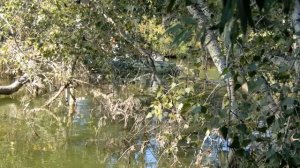 По дороге с облаками