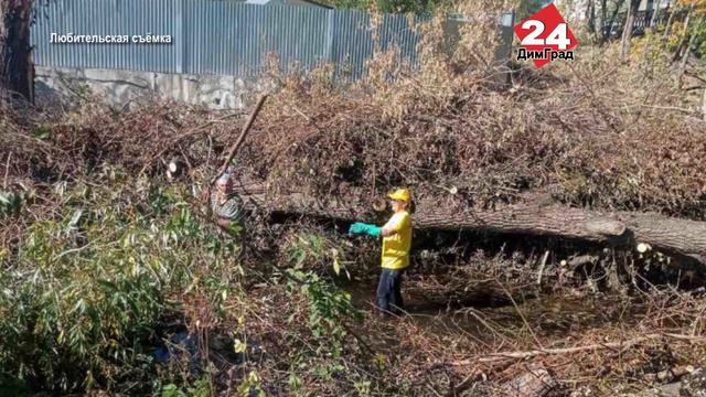 ДИМИТРОВГРАДСКИЕ ОБЩЕСТВЕННИКИ ДАЛИ РЕКЕ ВТОРУЮ ЖИЗНЬ смотреть онлайн