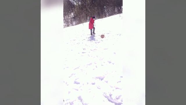 наш хоккеист❤ 58 номер❤ Давид смотреть онлайн