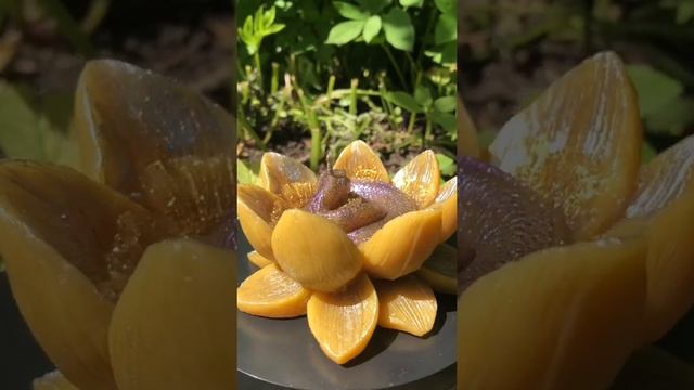 Змея символизирует, символизм, значение, свеча. смотреть онлайн