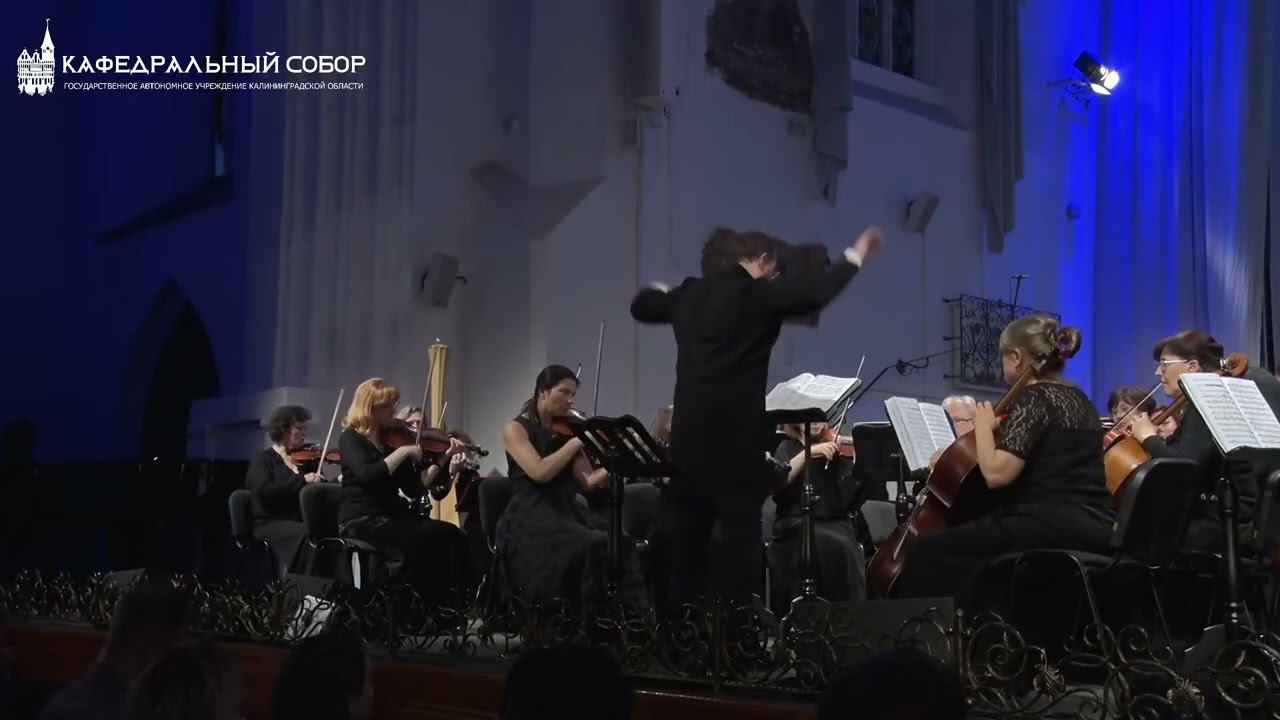 С. Рахманинов. Симфония «Юношеская» ре минор для оркестра (неоконченная) смотреть онлайн