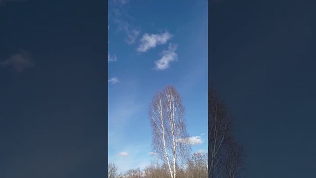 Кто обнимет тебя через тысячу лет ... смотреть онлайн