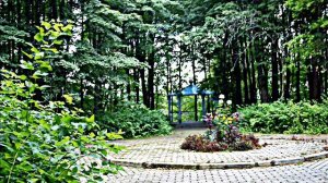 Санаторий "Дорохово" (Подмосковье)-Spa&Health Resort Dorohovo