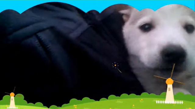 Мой щенок смотреть онлайн