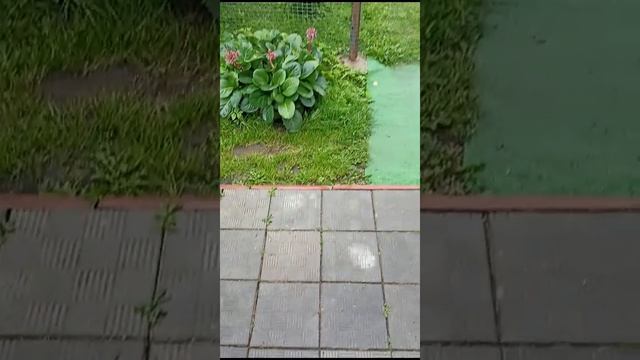 Приехал в выходные значит картошку копать... смотреть онлайн