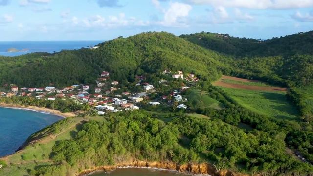 Отдых с Карибами смотреть онлайн